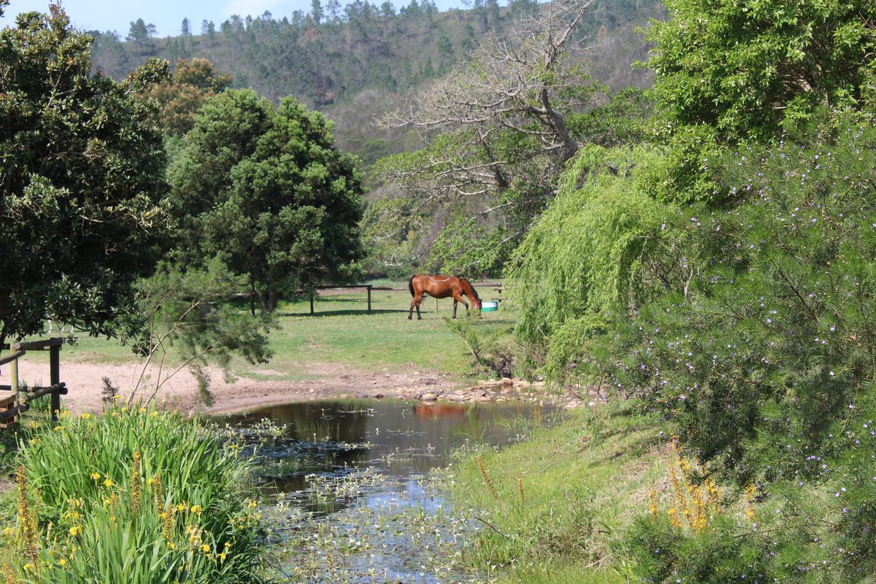 Kingfisher Cottage At Boschrivier Farm Plettenberg Bay Wittedrif Exterior photo