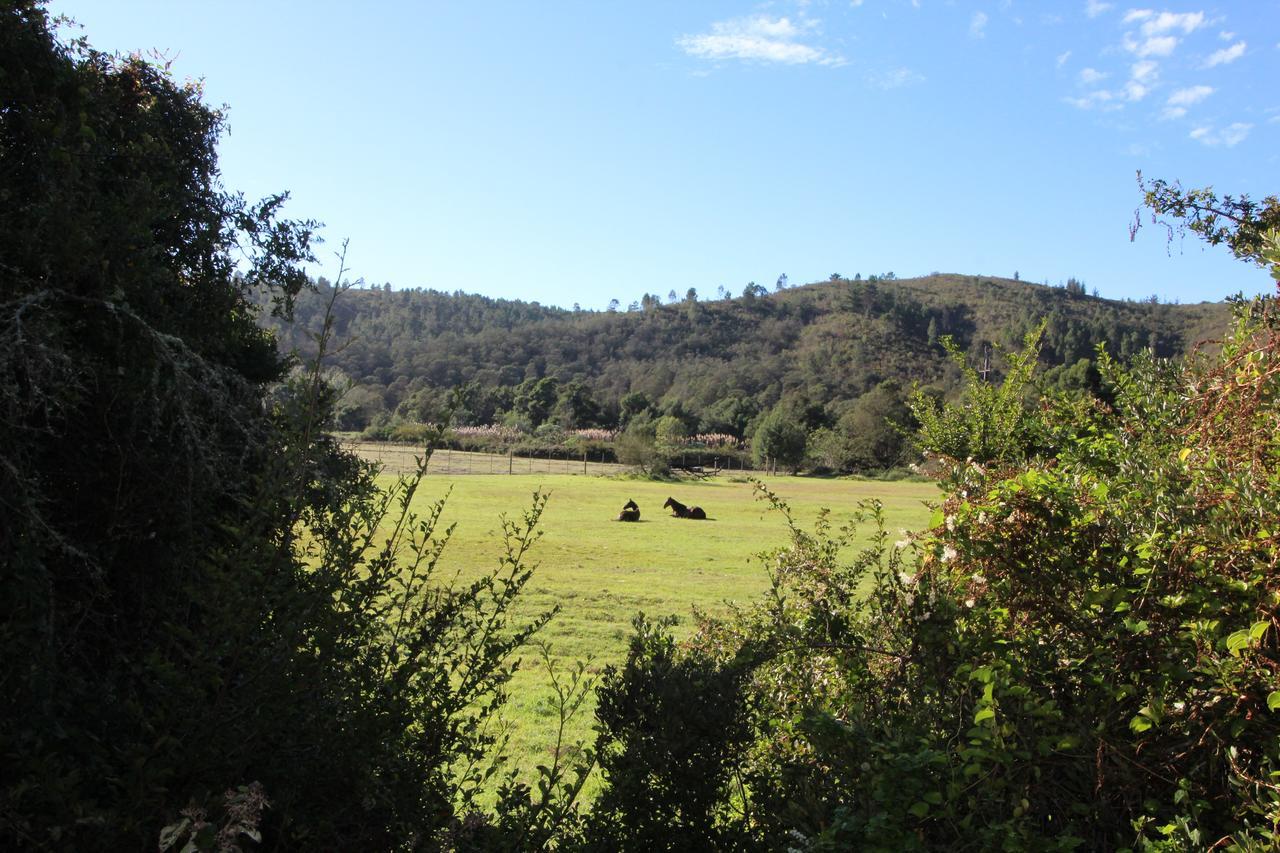 Kingfisher Cottage At Boschrivier Farm Plettenberg Bay Wittedrif Exterior photo